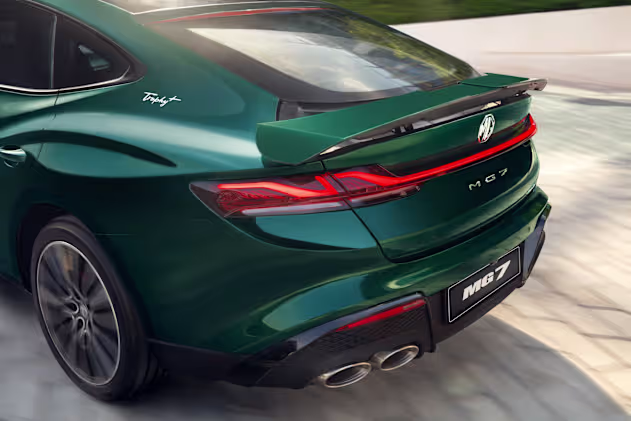 3 Sections Active Sports Wing